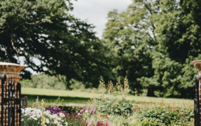 Garden Clearance – What Does it Include?