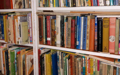 The difference Between Having ‘Too Much Clutter’ and Hoarding