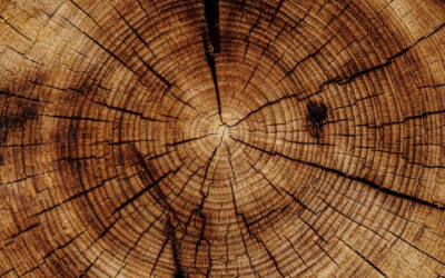 Identifying Antique Wooden Furniture During Estate Management