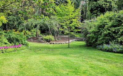 How to Get Ready for Garden Clearance