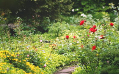 Signs That Your Garden Needs to Be Cleared