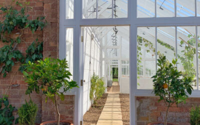 Dos and Don’ts of Conservatory Cleaning