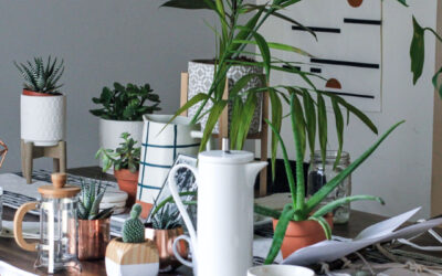 A Room-by-Room Decluttering Mission