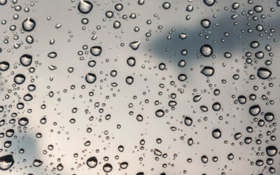 How to Know if Damp is an Issue Within a Property