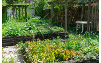 What Does a Garden Clearance Include?