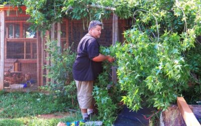 How to Know When Your Garden Needs Cleaning