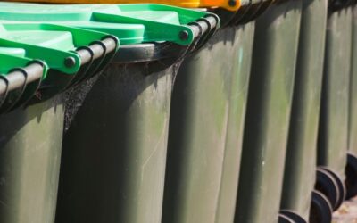 Deterring Pests – Smart Waste Management For Your Property