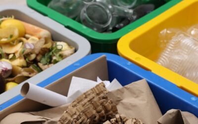 Waste Management – Everything You Need to Know
